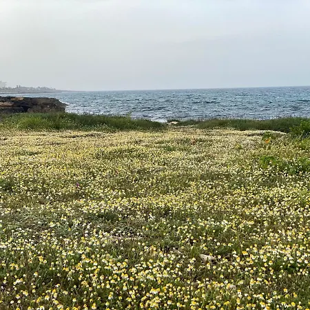Casetta Delle Anfore *