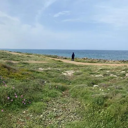 Casetta Delle Anfore *